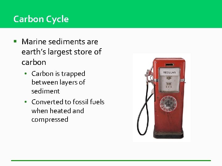 Carbon Cycle § Marine sediments are earth’s largest store of carbon • Carbon is