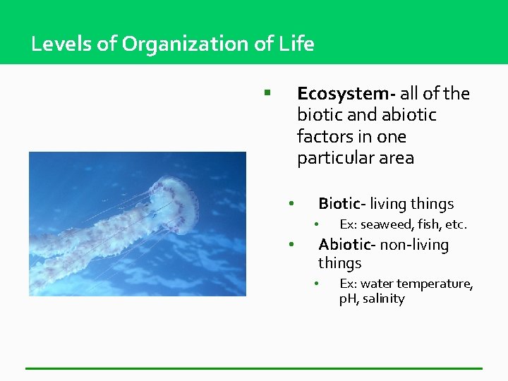 Levels of Organization of Life Ecosystem- all of the biotic and abiotic factors in