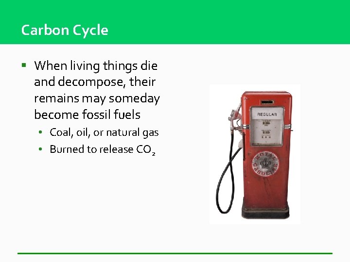 Carbon Cycle § When living things die and decompose, their remains may someday become