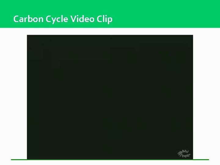 Carbon Cycle Video Clip 