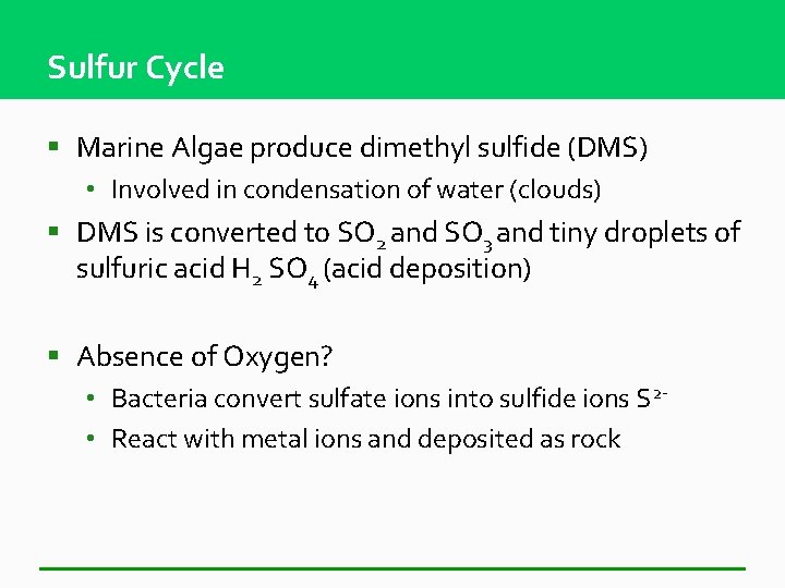 Sulfur Cycle § Marine Algae produce dimethyl sulfide (DMS) • Involved in condensation of