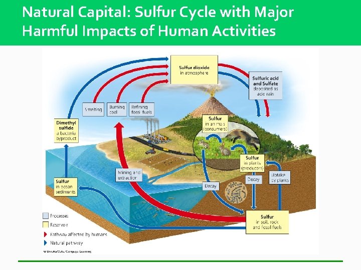 Natural Capital: Sulfur Cycle with Major Harmful Impacts of Human Activities 