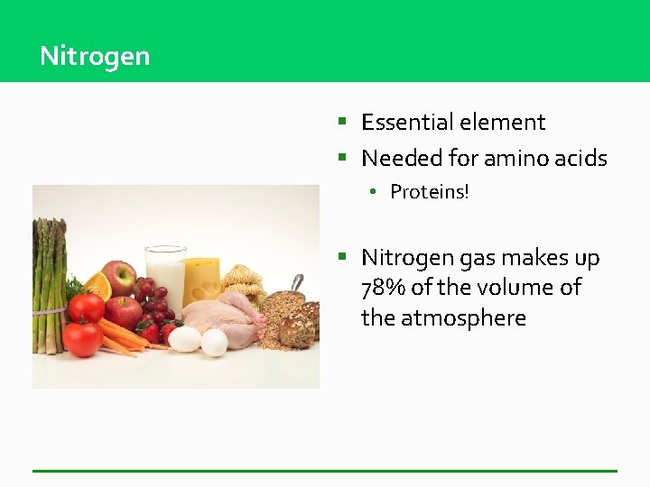 Nitrogen § Essential element § Needed for amino acids • Proteins! § Nitrogen gas