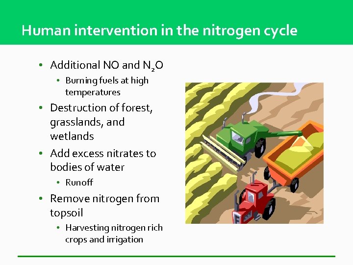 Human intervention in the nitrogen cycle • Additional NO and N 2 O •