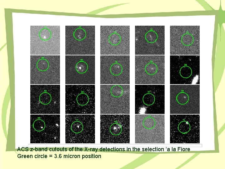 ACS z-band cutouts of the X-ray detections in the selection ‘a la Fiore Green