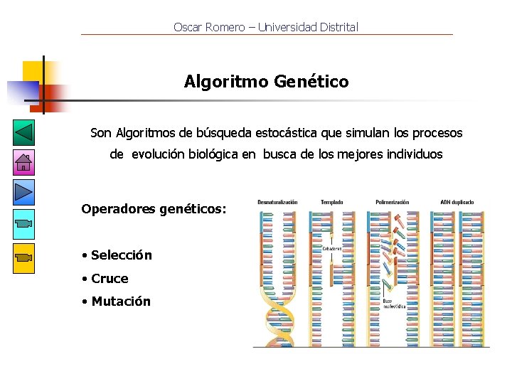 Oscar Romero – Universidad Distrital Algoritmo Genético Son Algoritmos de búsqueda estocástica que simulan