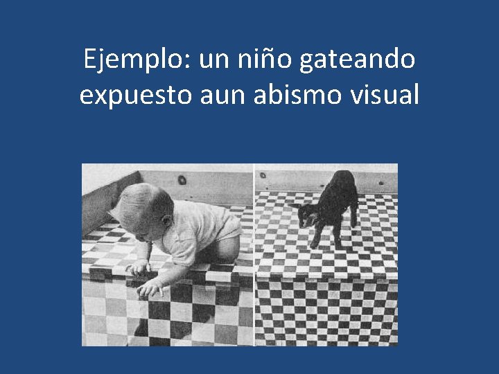 Ejemplo: un niño gateando expuesto aun abismo visual 