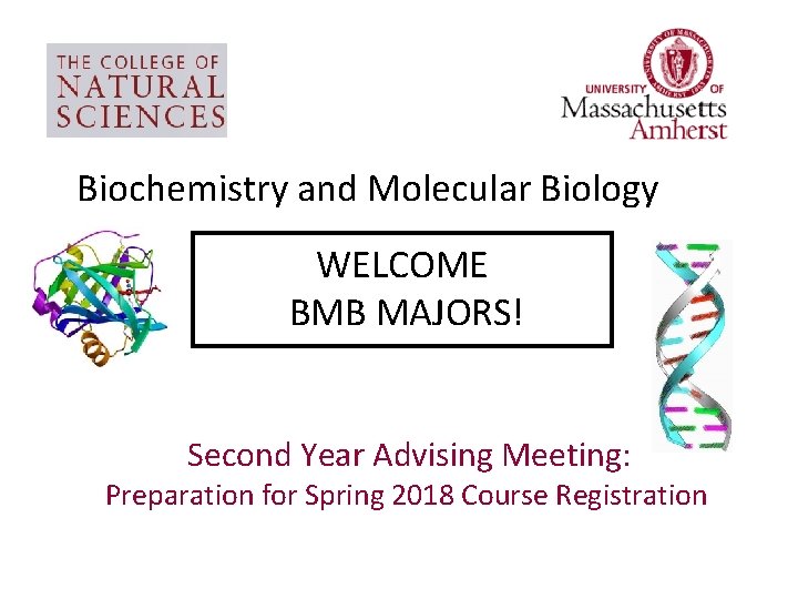 Biochemistry and Molecular Biology WELCOME BMB MAJORS! Second Year Advising Meeting: Preparation for Spring