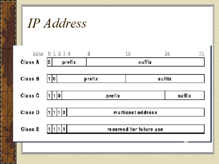 IP Address 