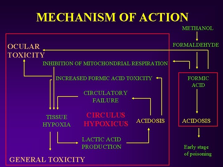 MECHANISM OF ACTION METHANOL FORMALDEHYDE OCULAR TOXICITY INHIBITION OF MITOCHONDRIAL RESPIRATION INCREASED FORMIC ACID