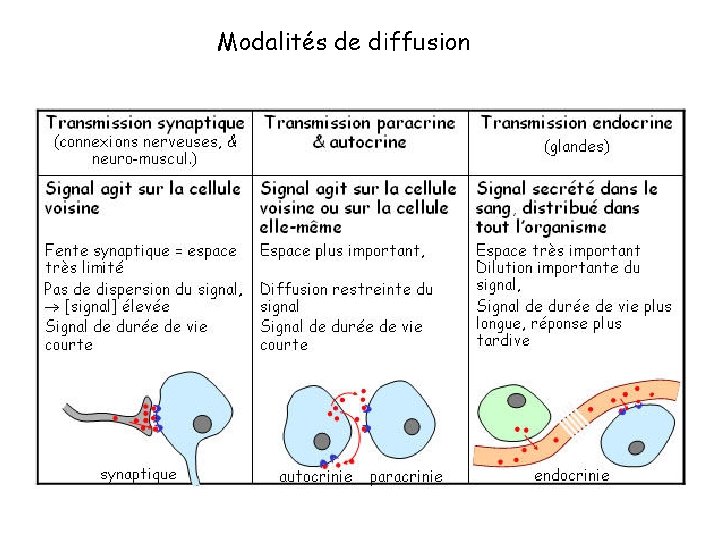 Modalités de diffusion 