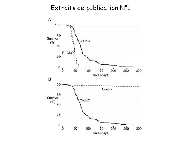 Extraits de publication N° 1 