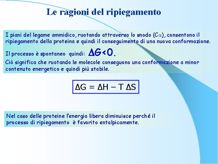 Le ragioni del ripiegamento I piani del legame ammidico, ruotando attraverso lo snodo (Ca),