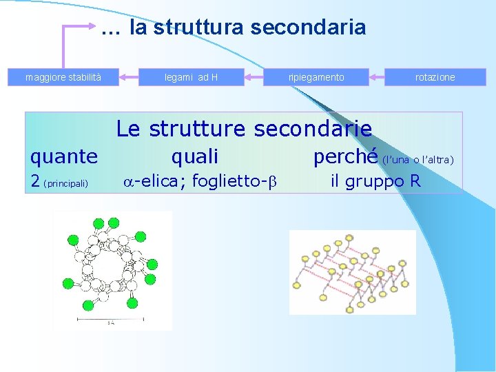… la struttura secondaria maggiore stabilità legami ad H ripiegamento rotazione Le strutture secondarie