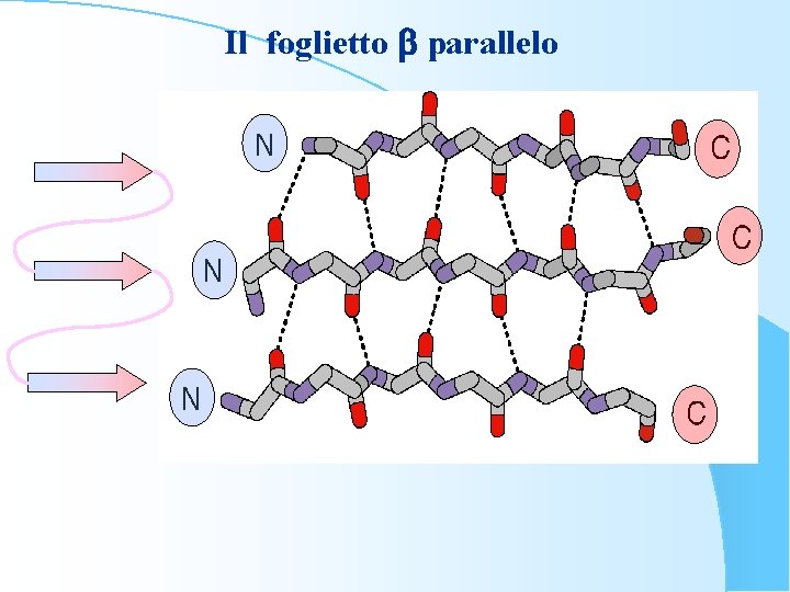 Il foglietto b parallelo 