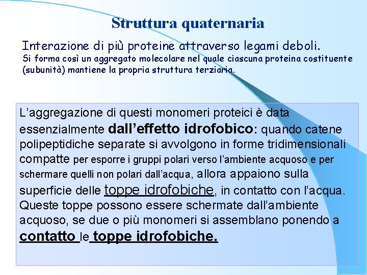 Struttura quaternaria Interazione di più proteine attraverso legami deboli. Si forma così un aggregato