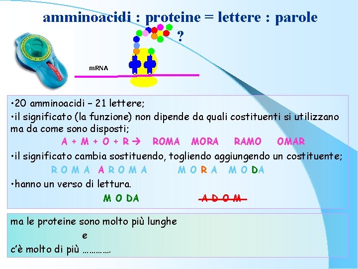 amminoacidi : proteine = lettere : parole ? m. RNA • 20 amminoacidi –