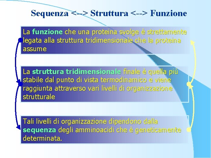 Sequenza <--> Struttura <--> Funzione La funzione che una proteina svolge è strettamente legata
