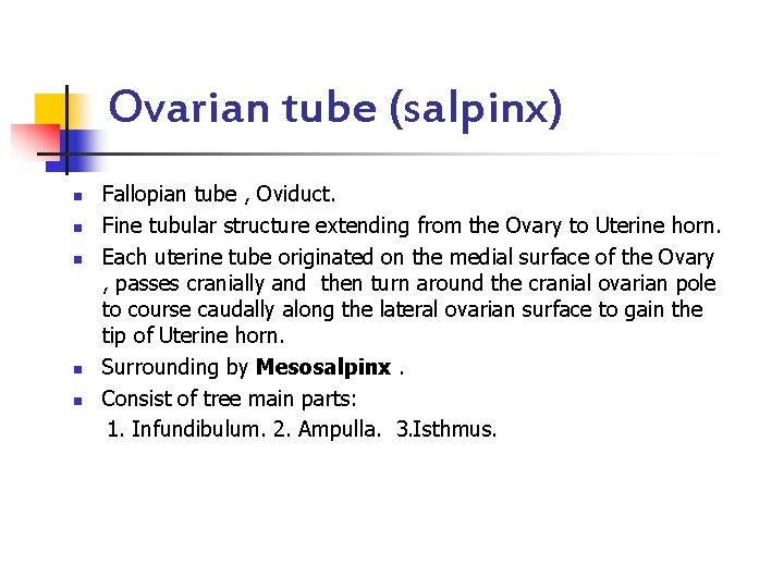 Ovarian tube (salpinx) n n n Fallopian tube , Oviduct. Fine tubular structure extending