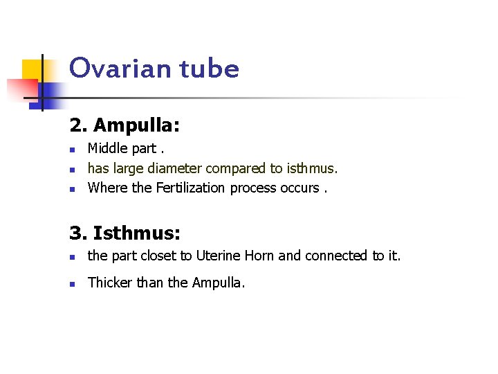 Ovarian tube 2. Ampulla: n n n Middle part. has large diameter compared to