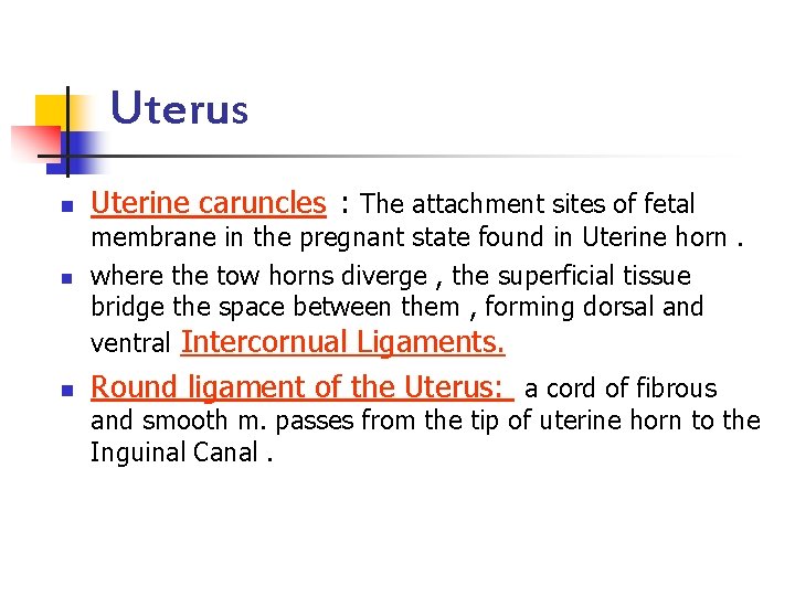 Uterus n n n Uterine caruncles : The attachment sites of fetal membrane in