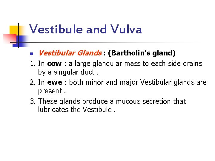 Vestibule and Vulva n Vestibular Glands : (Bartholin's gland) 1. In cow : a