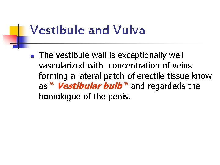 Vestibule and Vulva n The vestibule wall is exceptionally well vascularized with concentration of