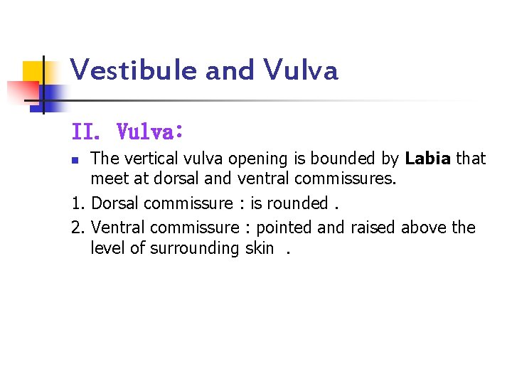 Vestibule and Vulva II. Vulva: The vertical vulva opening is bounded by Labia that