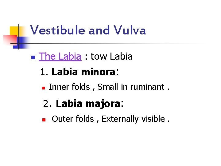 Vestibule and Vulva n The Labia : tow Labia 1. Labia minora: n Inner