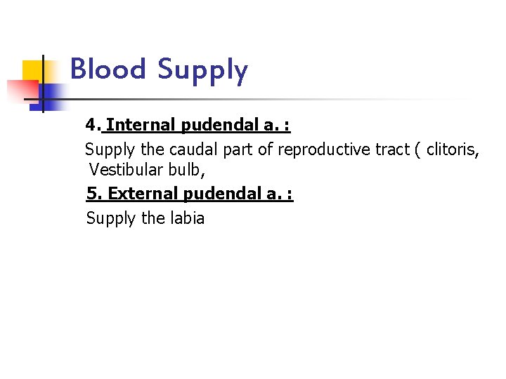 Blood Supply 4. Internal pudendal a. : Supply the caudal part of reproductive tract