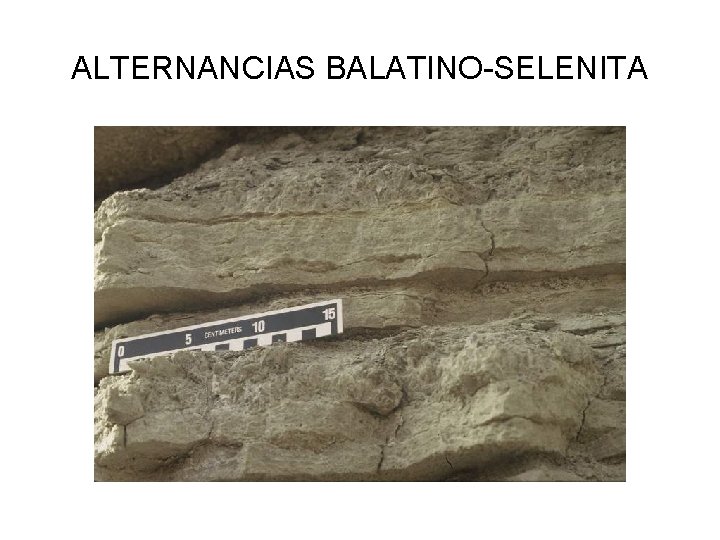ALTERNANCIAS BALATINO-SELENITA 