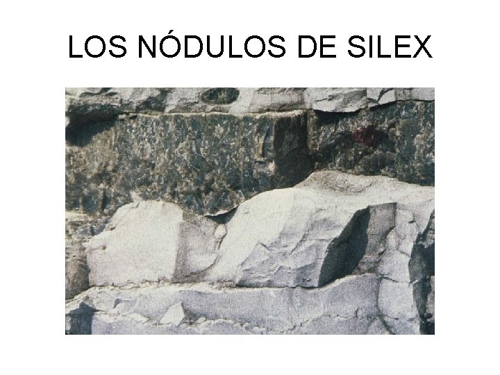 LOS NÓDULOS DE SILEX 