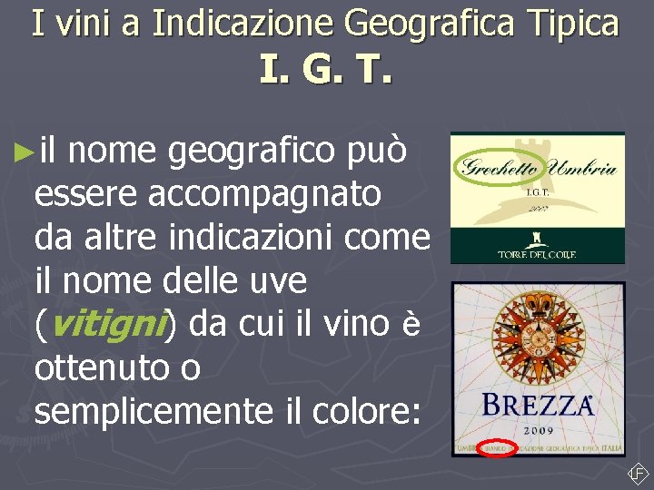I vini a Indicazione Geografica Tipica I. G. T. ►il nome geografico può essere I vini a Indicazione Geografica Tipica I. G. T. ►il nome geografico può essere