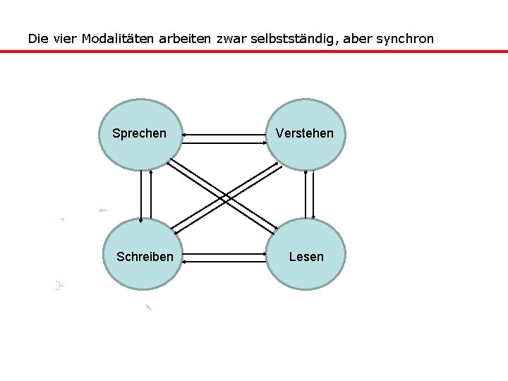 Die vier Modalitäten arbeiten zwar selbstständig, aber synchron Sprechen Schreiben Verstehen Lesen 