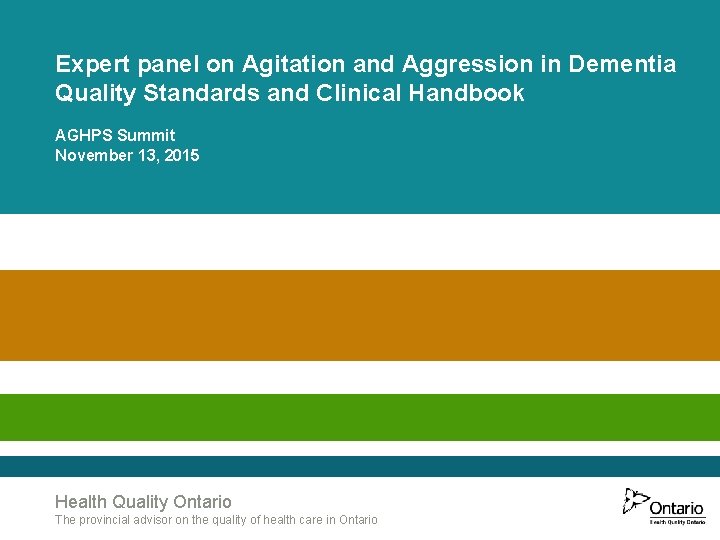 Expert panel on Agitation and Aggression in Dementia Quality Standards and Clinical Handbook AGHPS