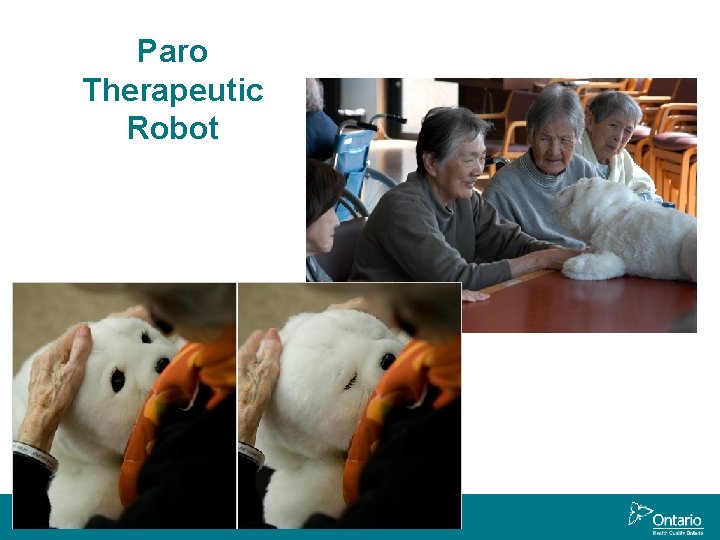 Paro Therapeutic Robot 22 