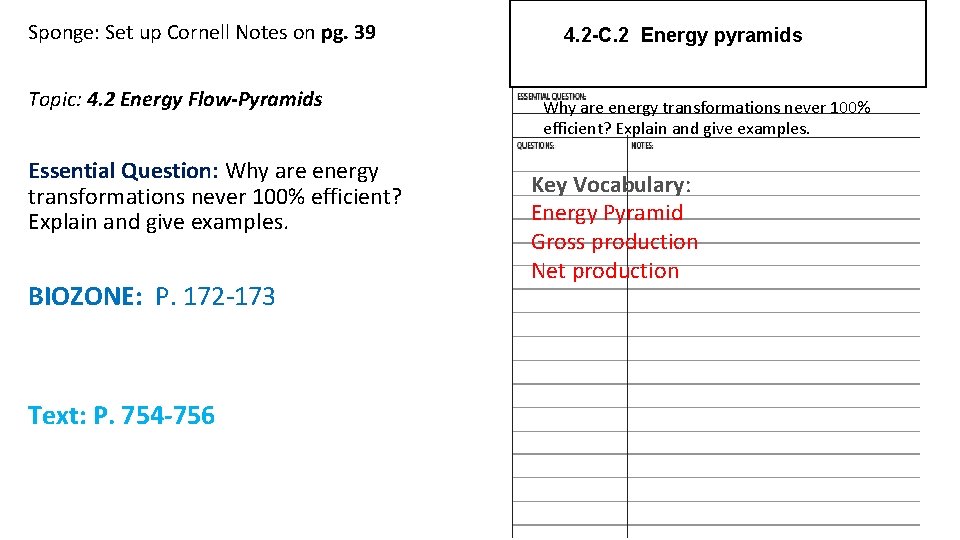 Sponge: Set up Cornell Notes on pg. 39 Topic: 4. 2 Energy Flow-Pyramids Essential