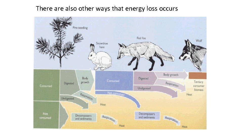 There also other ways that energy loss occurs 