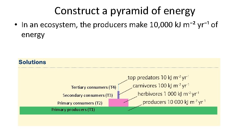 Construct a pyramid of energy • In an ecosystem, the producers make 10, 000