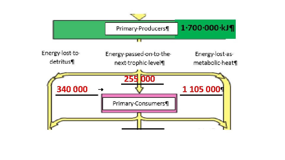 340 000 255 000 1 105 000 