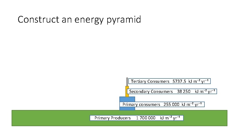 Construct an energy pyramid Tertiary Consumers 5737. 5 k. J m⁻² yr⁻¹ Secondary Consumers