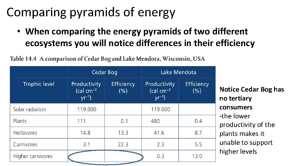 Comparing pyramids of energy • When comparing the energy pyramids of two different ecosystems
