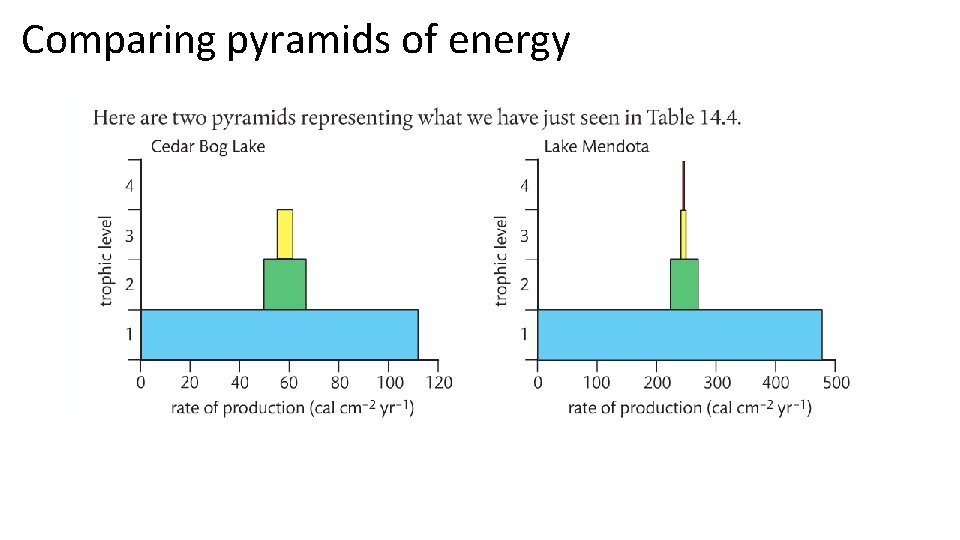 Comparing pyramids of energy 