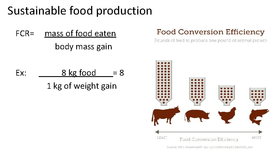 Sustainable food production FCR= mass of food eaten body mass gain Ex: 8 kg