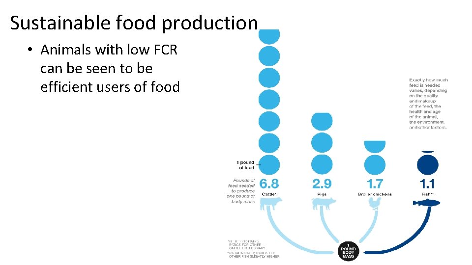 Sustainable food production • Animals with low FCR can be seen to be efficient