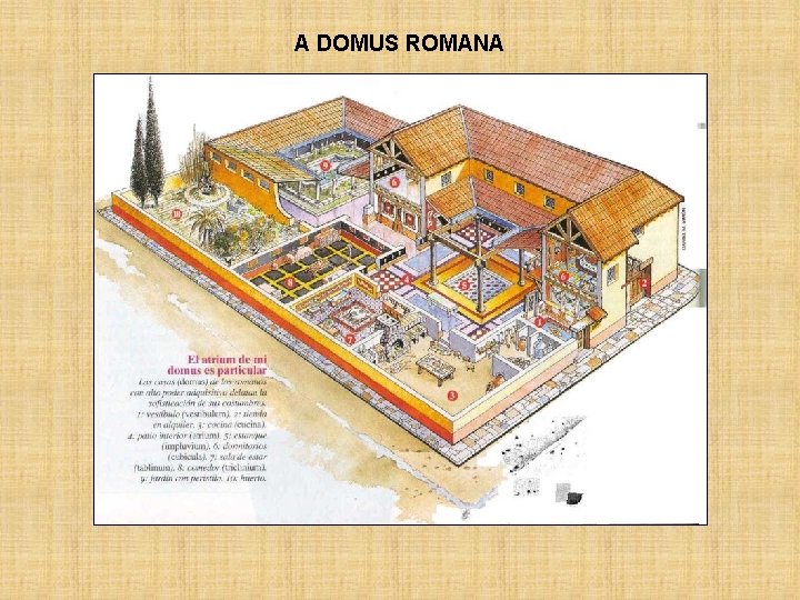 A DOMUS ROMANA 