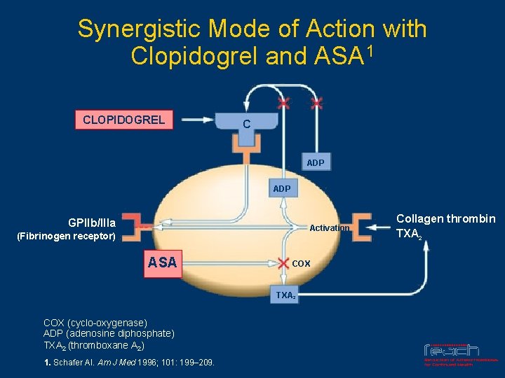 Synergistic Mode of Action with Clopidogrel and ASA 1 CLOPIDOGREL C ADP GPllb/llla Activation