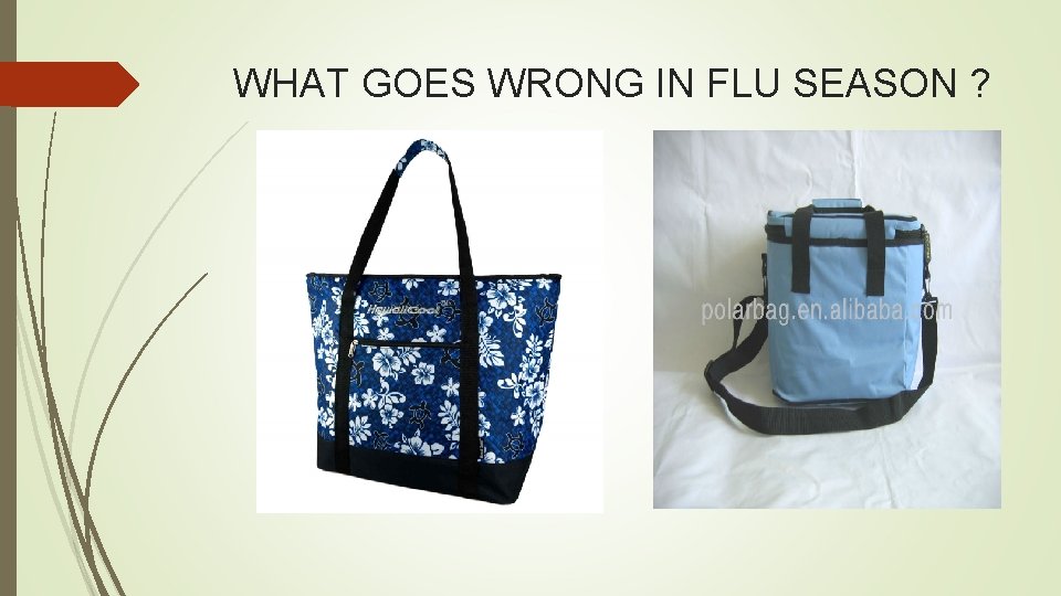 WHAT GOES WRONG IN FLU SEASON ? WHAT GOES WRONG IN FLU SEASON ?