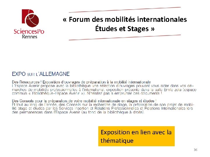Exemple Lettre De Motivation Stage Relations Internationales