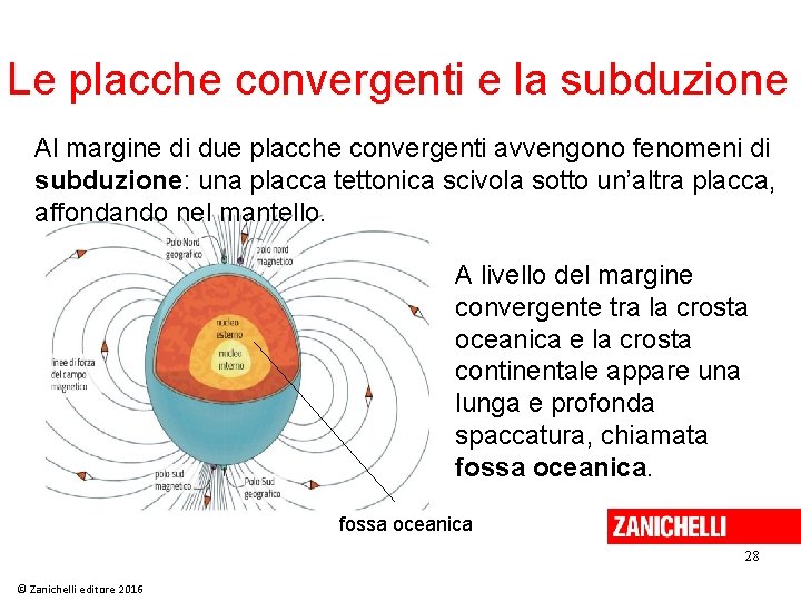 Le placche convergenti e la subduzione Al margine di due placche convergenti avvengono fenomeni